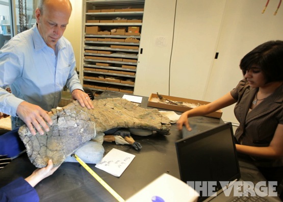 3D Scan and Print Dinosaurs
