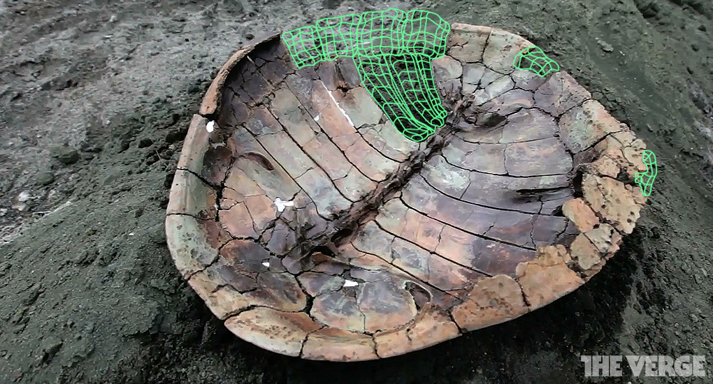 3D Scanning Fossils